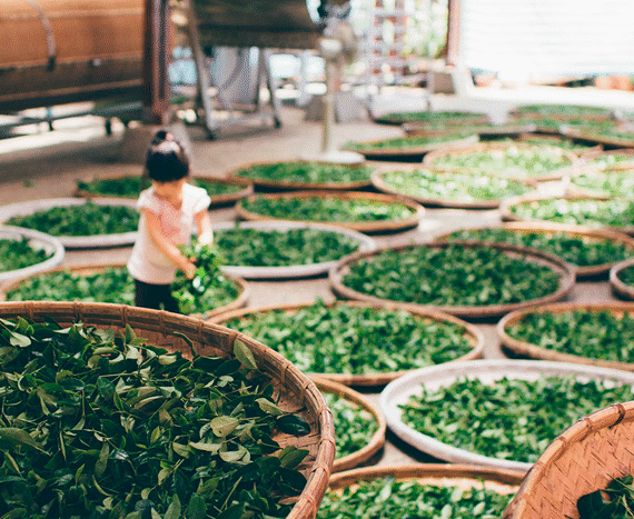 images-for-contact_us